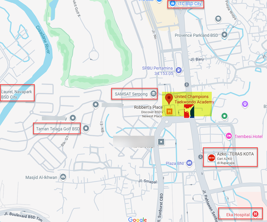 United Champions Taekwondo Academy